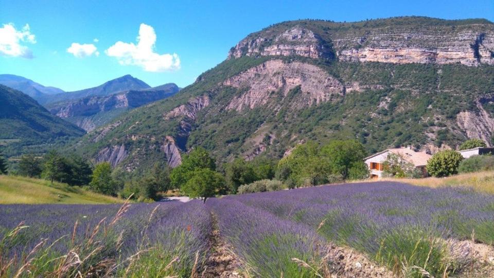 Entre Terre Et Ciel Bed & Breakfast Remuzat Bagian luar foto